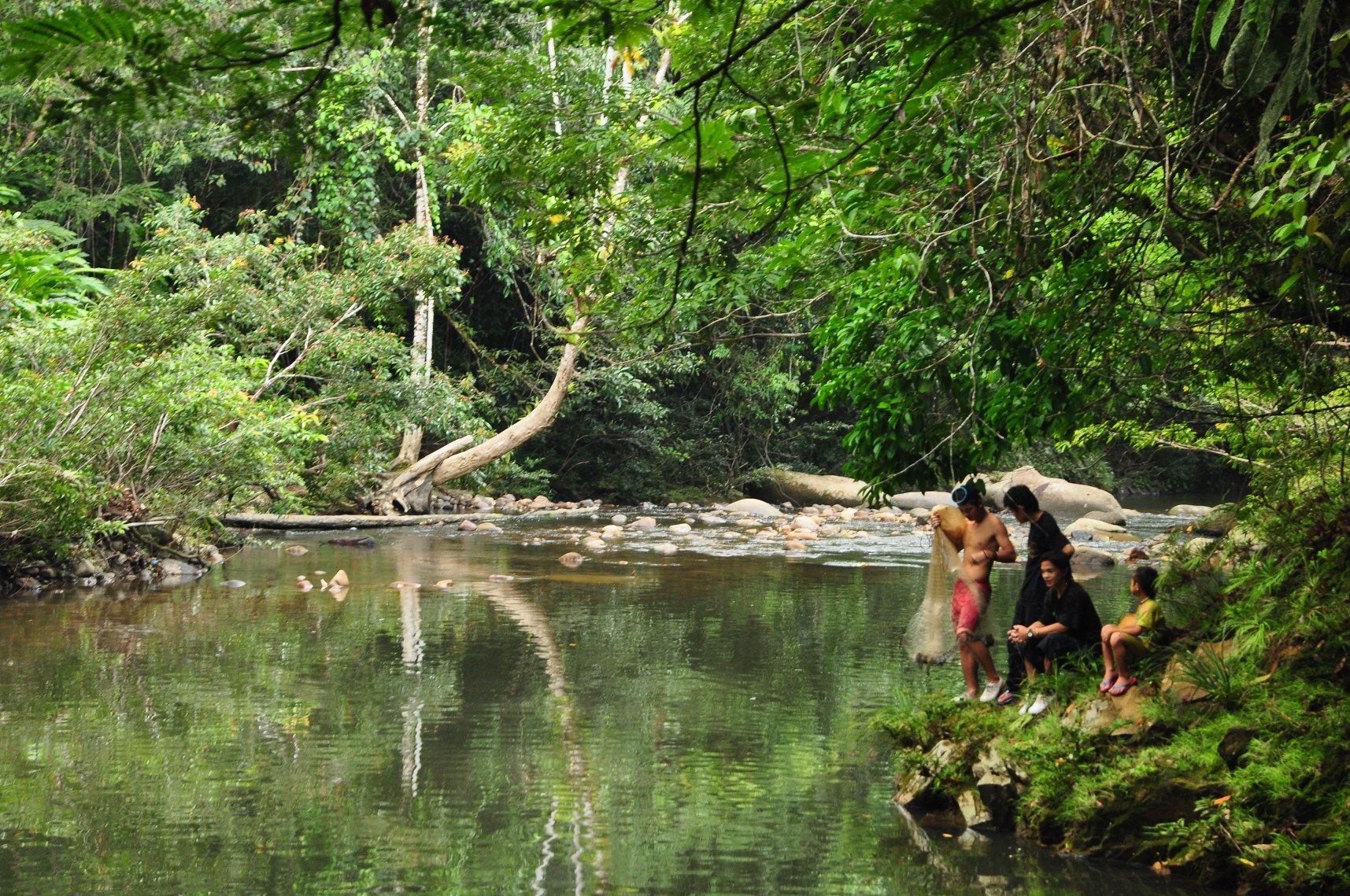 Borneo Treks