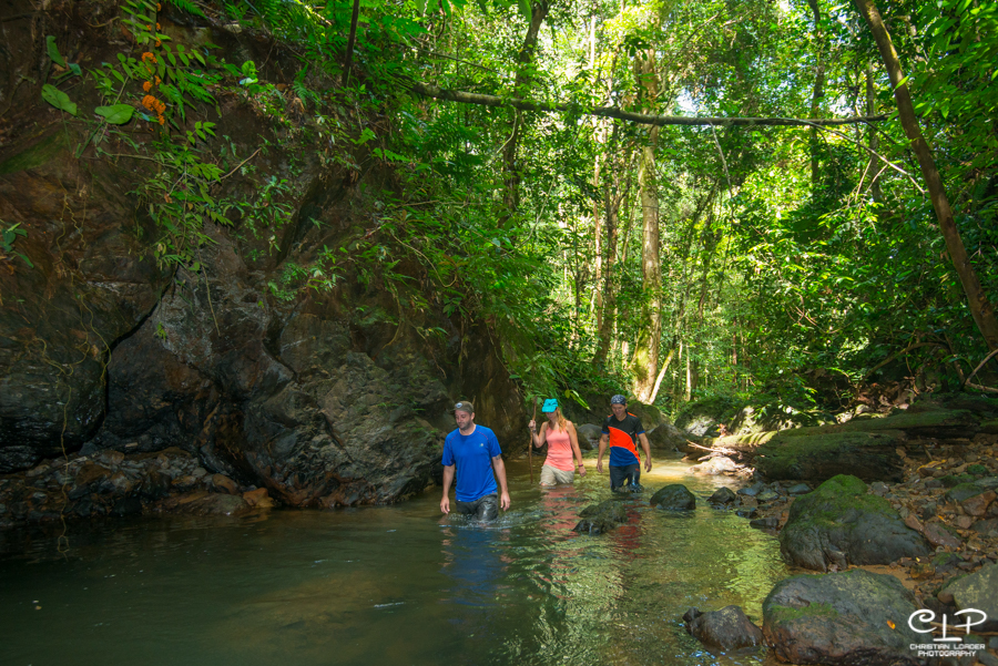 Best shoes clearance for rainforest hiking