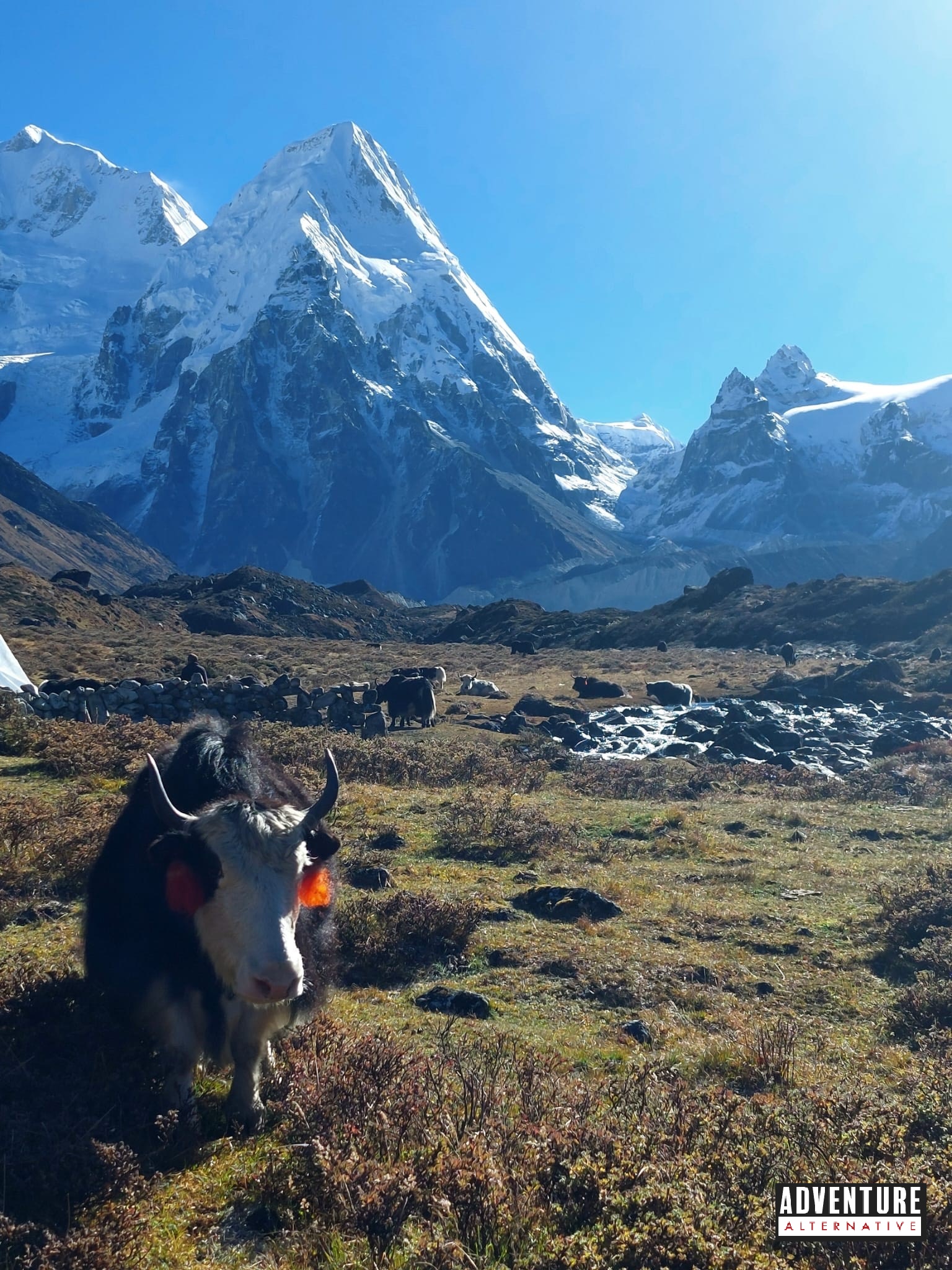 Kanchenjunga Trek