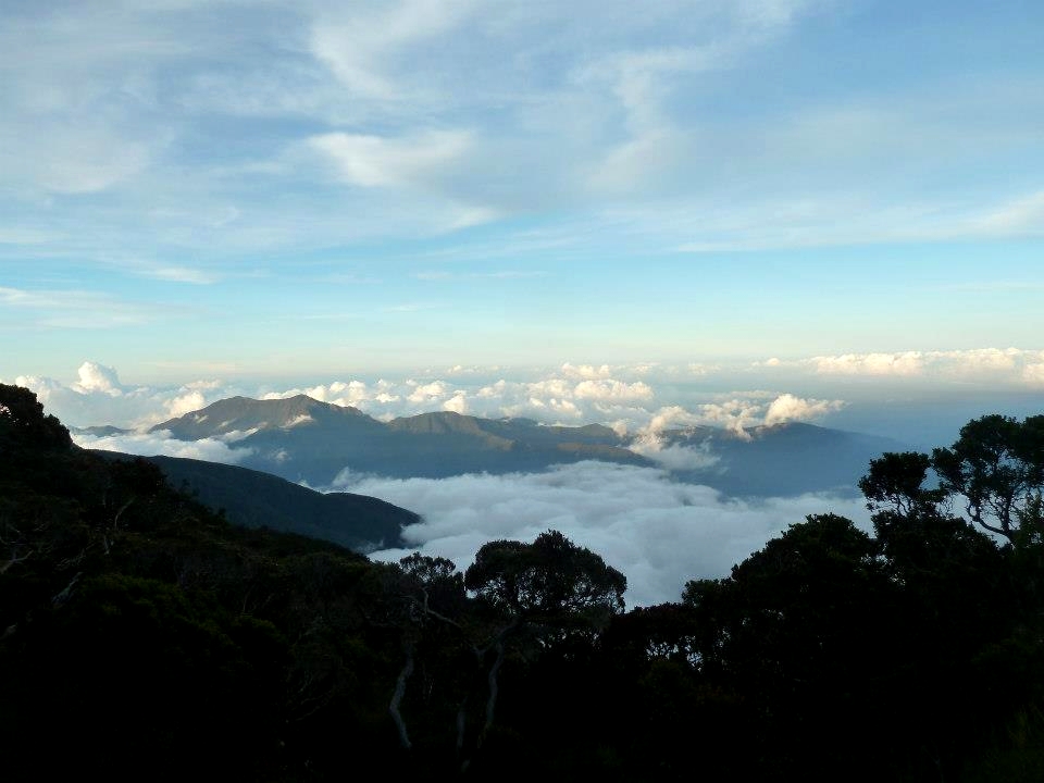 borneo_kinabalu_kotal-route-looking-out-over-trees-and-clouds