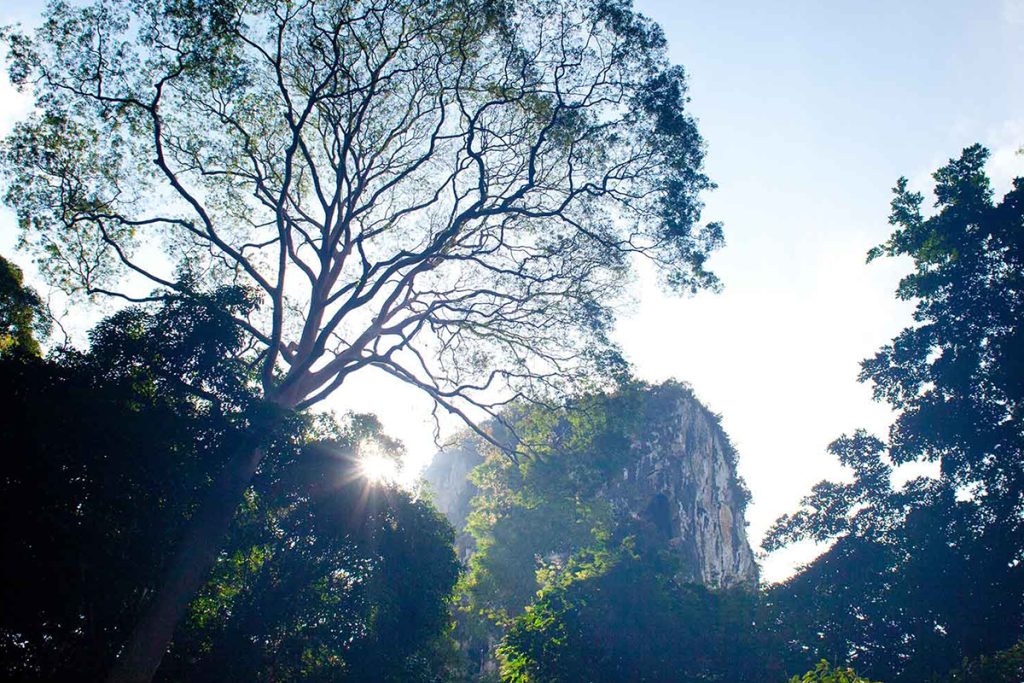 Pinnacles in the area of Orou Sapulot