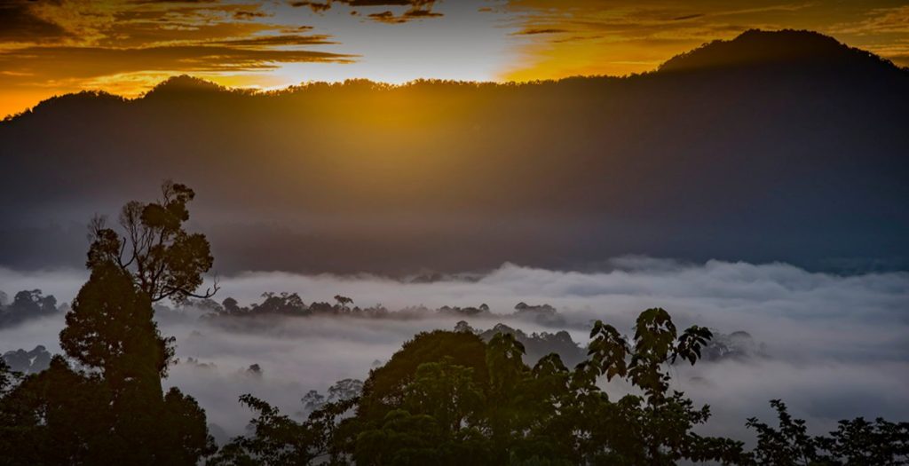 Danum Valley