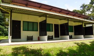 Infapro lodge, Danum Valley